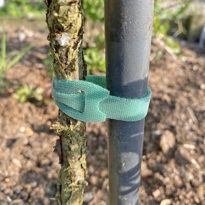 Hook  and Loop Plant Ties 150mm 10pk