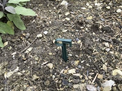 Hooked Top Garden Peg 10pk