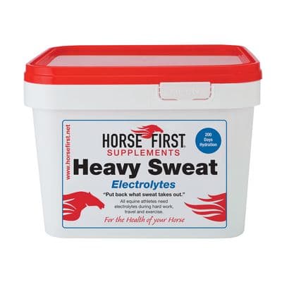 HORSE FIRST HEAVY SWEAT