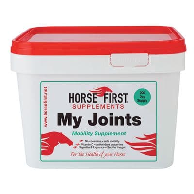 HORSE FIRST MY JOINTS