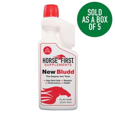 HORSE FIRST NEW BLUDD