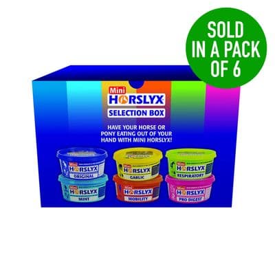 HORSLYX MINI LICKS SELECTION BOX