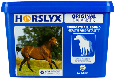 Horslyx Original Balancer 5kg Single