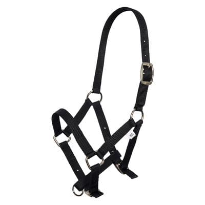 IMPERIAL RIDING HEADCOLLAR NYLON FOAL
