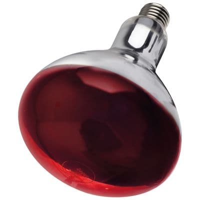 INTELEC HARD GLASS INFRA-RED HEAT BULB 250W - 250 W - RUBY