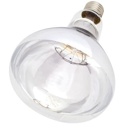 INTELEC HARD GLASS INFRA-RED HEAT BULB 250W - 250W - CLEAR