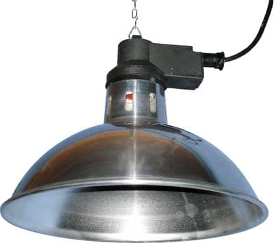 INTELEC TRAD INFRA-RED HEAT LAMP 8