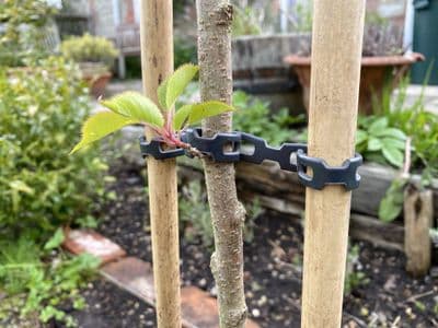 Interlocking Plant Supports Black 150cm 2pk