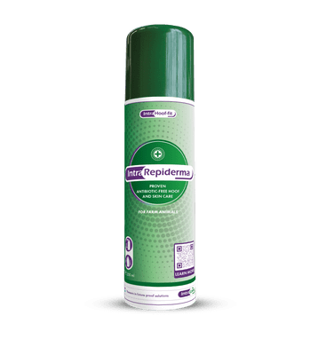 Intra Repiderma Aerosol 250Ml