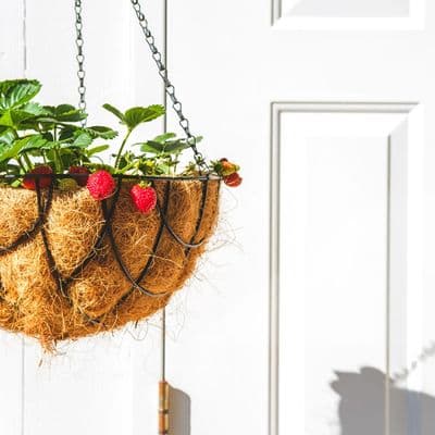 Jute Liner 0.75m x 20m  BULK ROLL