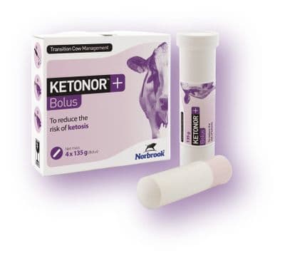 Ketonor - 135g x5