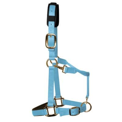 KM Elite Padded Headcollar Baby Blue FULL SIZE
