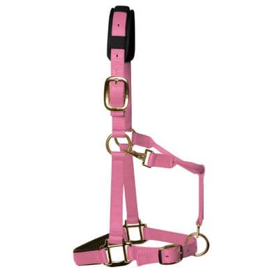 KM Elite Padded Headcollar Baby Pink FULL SIZE