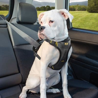 KURGO IMPACT SEATBELT HARNESS