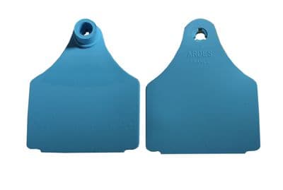 Large Blank Eartag Front - Blue