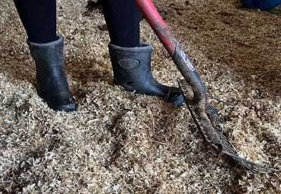 LBC ULTRALIGHT ANKLE BOOTS BLACK