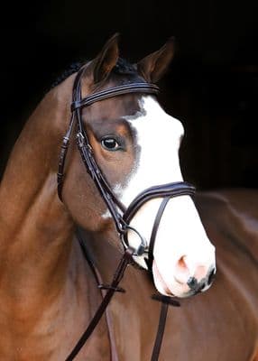 Legend Athena Bridle Black Full
