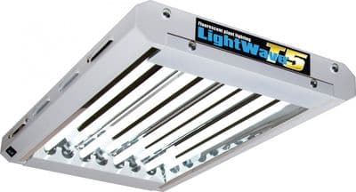 Lightwave T5 2 Foot 4 Tube