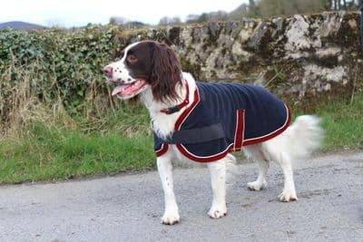 Mackey Buddy Fleece Dog Rug Navy/Burg/White 50cm
