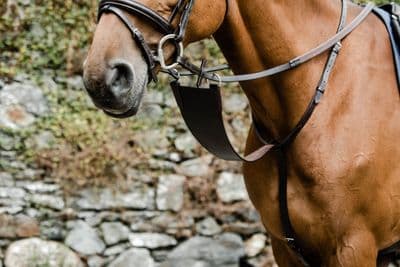 Mackey Classic Bib Martingale Full BLACK