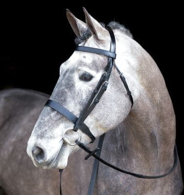 Mackey Classic Hunt Bridle & Reins Cob BROWN