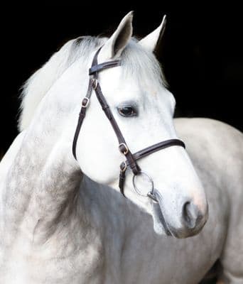 Mackey Classic In-Hand Bridle Black Cob
