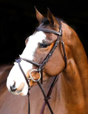 Mackey Classic Mexican Grackle Bridle Brown Pony