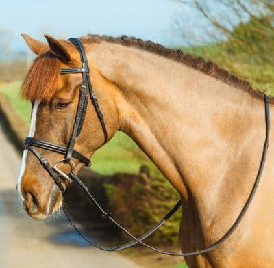 Mackey Classic Padded Flash Bridle Black Pony