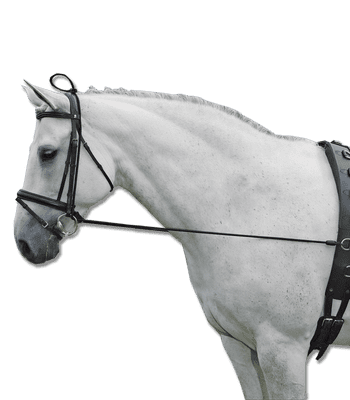 Mackey Large Ring THICK Race Snaffle 5