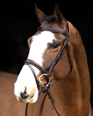 Mackey Legends Flash Bridle Pony BLACK