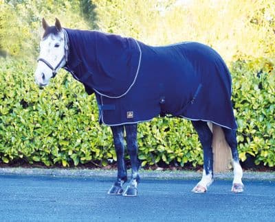 Mackey Liffey Dry Rug - Navy - Small