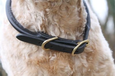 Mackey Rolled Leather Dog Collar - Brown - Large