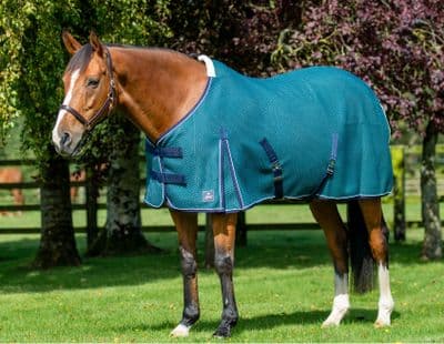Mackey Shannon Air Cooler Petrol/White/Navy 7'0