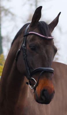 Mackey Sparkle Browband -Baby Pink-Black leather-Cob