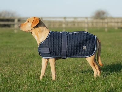 Mackey Thermo Dog Rug Grey 30cm