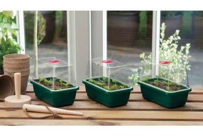 Mini High Dome Propagator (Set of 3)