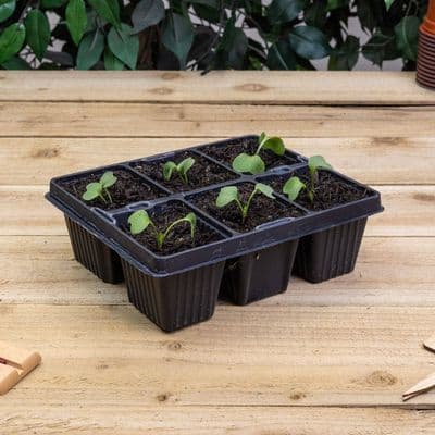 Modular Insert 6 Cell Tray 21cm 6pk