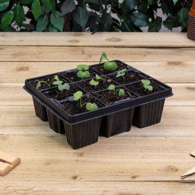 Modular Insert 9 Cell Tray 21cm 6pk