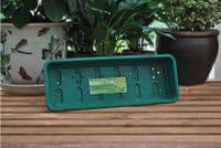 Narrow Seed Tray Green With Holes