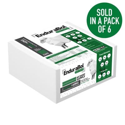 NETTEX AGRI ENDURABOL SHEEP WITH COPPER