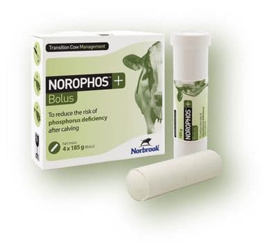 Norophos Plus - 185g x4