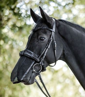 Nose Protection Black Pony