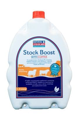 NS Stock Boost - 2.5lt