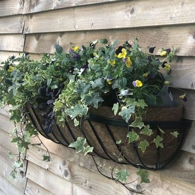 Oxford Wall Trough with Coco Liner 24in 60cm