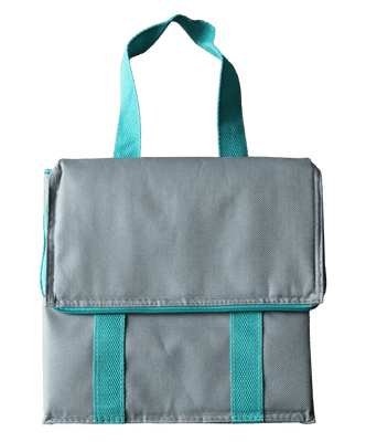 Pagoda Cool Bag With Ice Pack - 10L
