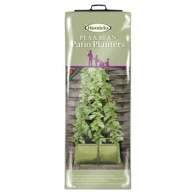 Pea and Bean Planter