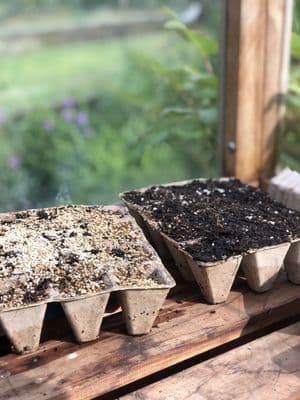 Peat Free Pot Strips 5cm Square 36pk