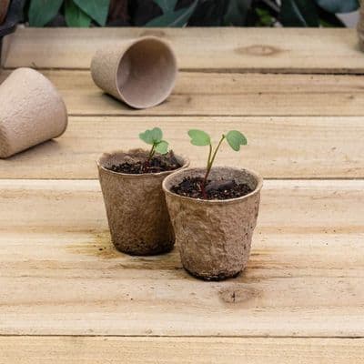 Peat Free Pots 6cm Round 20pk