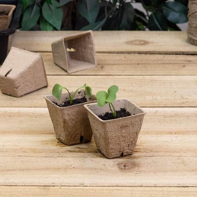 Peat Free Pots 6cm Square 20pk