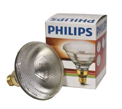 Philips Heatlamp Bulb - 100w - Clear